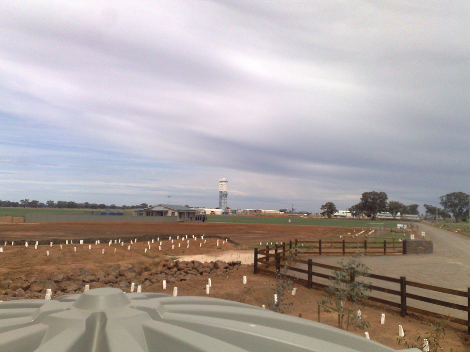 Main Access Road After Planting